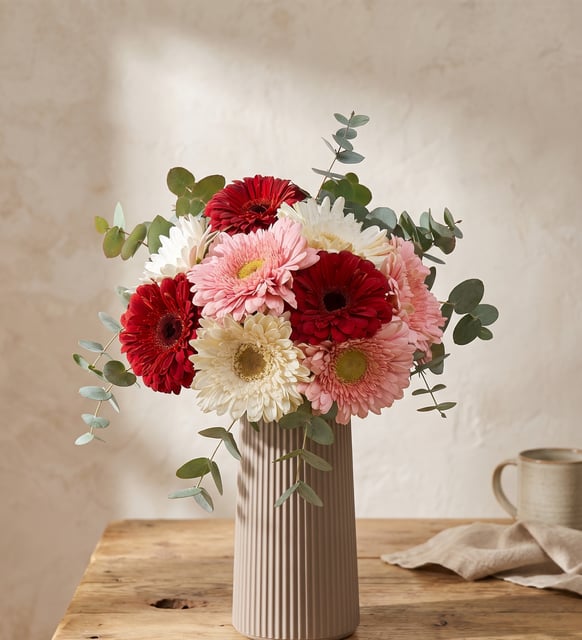 Bej Çizgili Polimer Vazoda Pembe & Beyaz & Kırmızı Gerbera