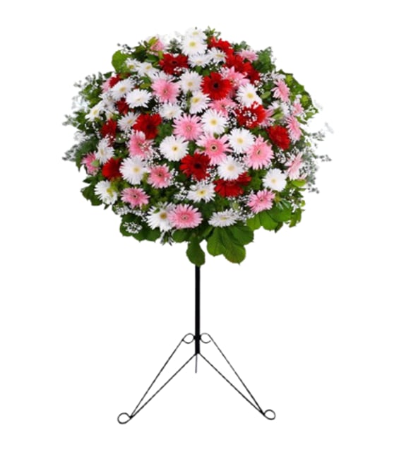 KARIŞIK GERBERA FERFOJE
