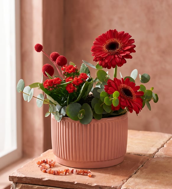 Kiremit Saksıda Kırmızı Gerberalar ve Kalanchoe