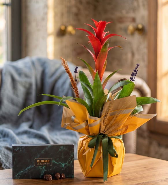 Sarı Bukette Guzmania ve Trüflü Yeşil Gurme Lezzetler