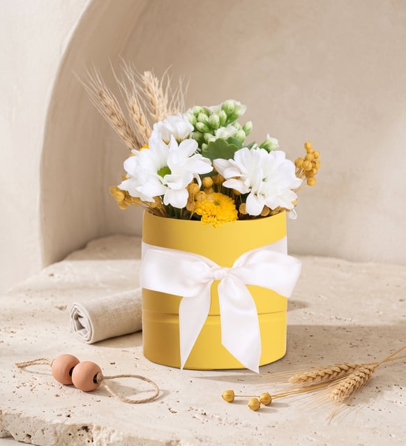 Sarı Saksıda Beyaz Papatyayalar ve Kalanchoe