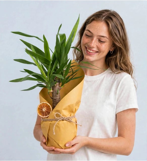 YUKKA ÇİÇEĞİ KRAFT BUKETLİ
